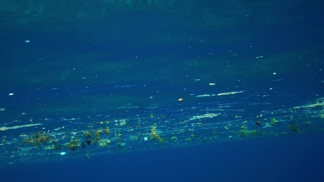 小笠原　海に浮かぶプラスチックごみと流れ藻