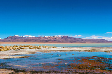 Fototapeta na wymiar Blue lake and the mountains with snow on top at Salar de Chalviri, Bolívia 