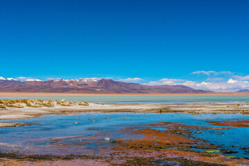 Blue lake and the mountains with snow on top at Salar de Chalviri, Bolívia 