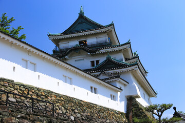 新緑の和歌山城　和歌山県、日本