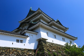 Naklejka premium 新緑の和歌山城 和歌山県、日本