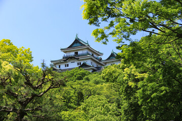 新緑の和歌山城　和歌山県、日本