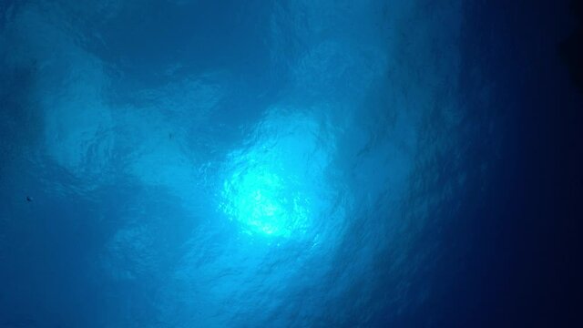 海底から見上げる太陽とエアー　小笠原
