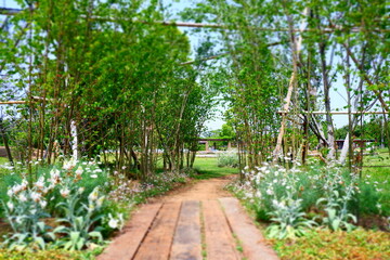 緑に囲まれた小道を散策