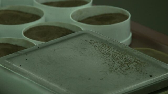 Soil samples for testing in the laboratory.
Analysis of soil samples in laboratory.
Laboratory equipment for pulverizing and sieving of soil samples on table.
