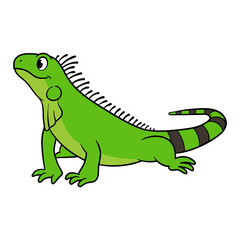 Cartoon Green Iguana Vector Illustration