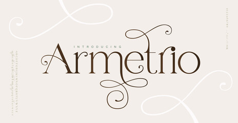 Elegant wedding alphabet letters font and number. Typography classic lettering serif fonts decorative vintage retro design concept. vector illustration