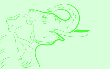 Elephant graphic pattern. Japanese ornament. illustration