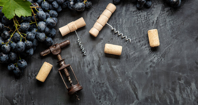 Many different corkscrews varieties with open wine corks on dark concrete background, black grapes. Degustation winetasting of wines drink. Corkscrews types in Wine bar restaurant. Long web banner.