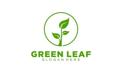 Green leaf elegant logo