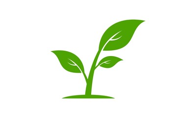 Fototapeta na wymiar Green plant vector icon