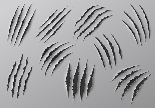 Claw Marks, Scratches And Torn Traces Of Vector Animal Paw Slashes. Monster Claw Marks Of Wild Tiger, Lion, Cat Or Bear Attacks, Dinosaur Or Werewolf Aggressive Traces, Halloween Or Horror Themes