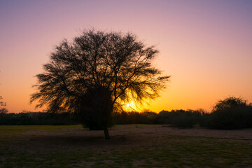 Fototapeta premium sunset