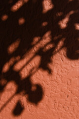 plant shadows casted on terra cotta colored textured wall surface