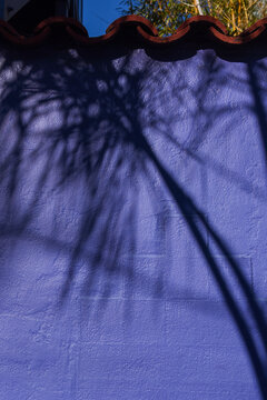 Palm Tree Shadows Casted On Purple Building Surface