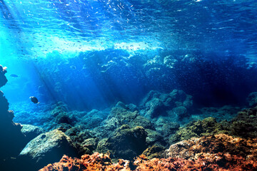 Naklejka na ściany i meble Underwater landscape and scenery in sunlight