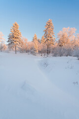 Snow and rime in winter in Changbai Mountain, Jilin Province, China