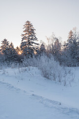 Snow and rime in winter in Changbai Mountain, Jilin Province, China