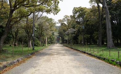 a narrow street in the shrine