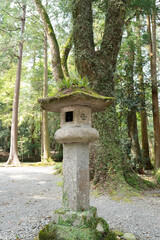 Fototapeta na wymiar an approach to a shrine in japan