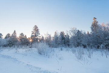Snow and rime in winter in Changbai Mountain, Jilin Province, China