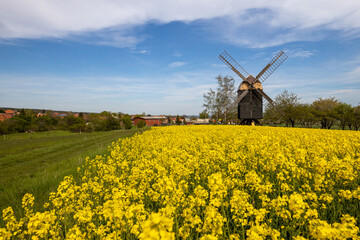 Windm&uuml;hle Sargstedt im Huy