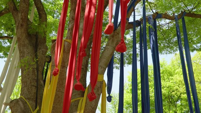 Seonangdang, holy stone cairns or trees dedicated to the patron deity of a village. Multicolored Ribbons with stones Hanging On Branches Of A Tree At Korean Folk Village