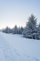 Snow and rime in winter in Changbai Mountain, Jilin Province, China