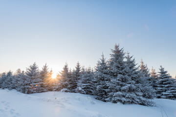 Snow and rime in winter in Changbai Mountain, Jilin Province, China