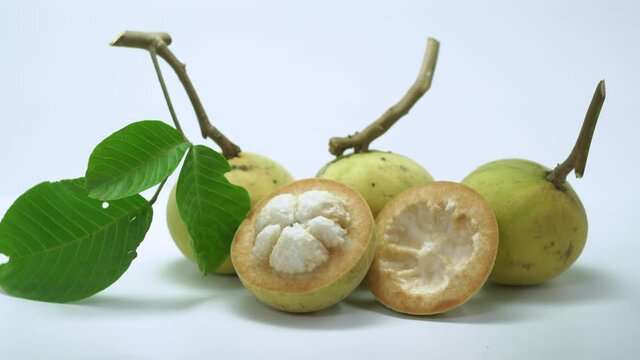 Sandoricum koetjape or santol fruit on white background. Also called wild mangosteen or cotton fruit. Tropical fruit native to maritime Southeast Asia. Santol fruits are known for their sweet and sour