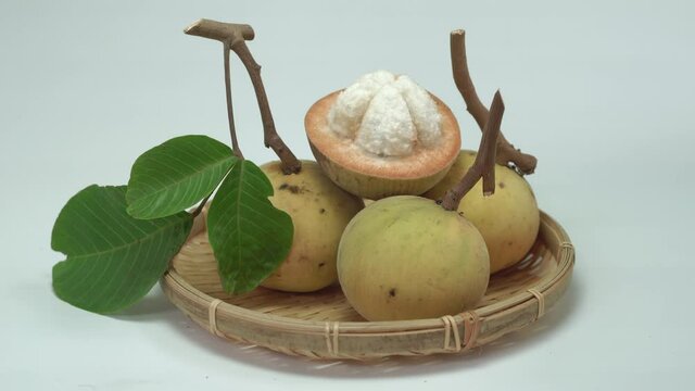 Sandoricum koetjape or santol fruit on white background. Also called wild mangosteen or cotton fruit. Tropical fruit native to maritime Southeast Asia. Santol fruits are known for their sweet and sour