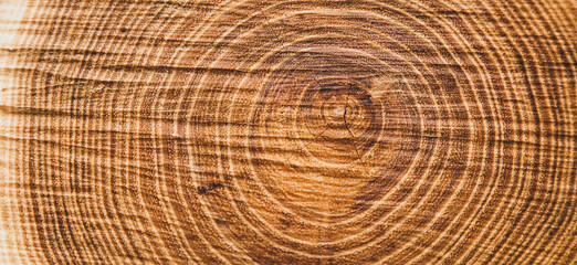 Naklejka premium wood texture