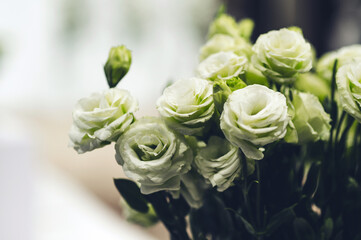 Beautiful vintage roses Is a picture of rose Beautiful patterns for making various media