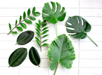 Green leaves on cement board background