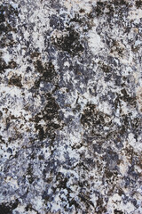 dark mould at wall