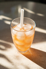 Kombucha a bubbly probiotic tea cocktail