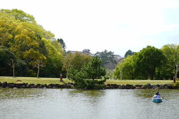 Fototapeta premium Sagi-ike pond in Nara park, Japan, isolated - 日本 奈良 奈良公園 鷺池