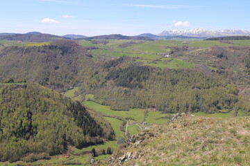 Fototapeta na wymiar paysage d'Auvergne