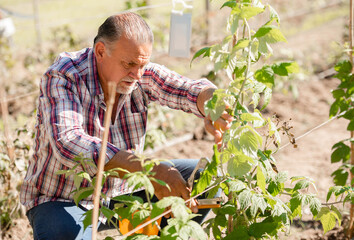 older man working in the garden