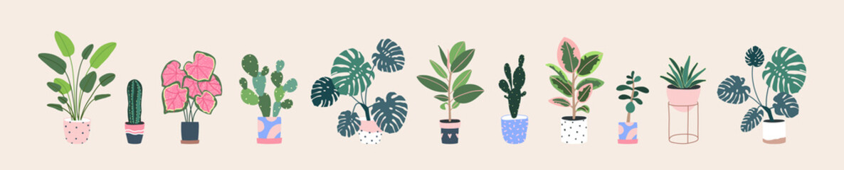 Home plants in flowerpot. Houseplants isolated. Trendy hugge style, urban jungle decor. Hand drawn. Set collection. Green, blue, white, pink, brown, beige pastel colors. Print, poster. Logo, label.