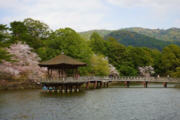 Fototapeta na wymiar Ukimido Pavilion on Sagi-ike pond with Sakura, Cherry Blossoms, in Nara park, Japan, isolated - 日本 奈良 奈良公園 春の桜 浮見堂 