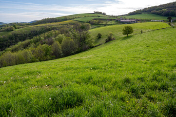 Paysage des Monts du Lyonnais dans le département du Rhône en France au printemps