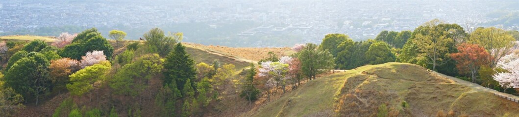 Aerial view of Nara city from Mount Wakakusa (Wakakusa-yama) during spring, Panoramic view - 若草山 山頂展望台からの眺望 桜の花 パノラマ