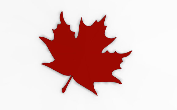 red maple leaf on white background