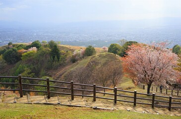 Aerial view of Nara city from Mount Wakakusa (Wakakusa-yama) during spring - 若草山 山頂展望台からの眺望 桜の花