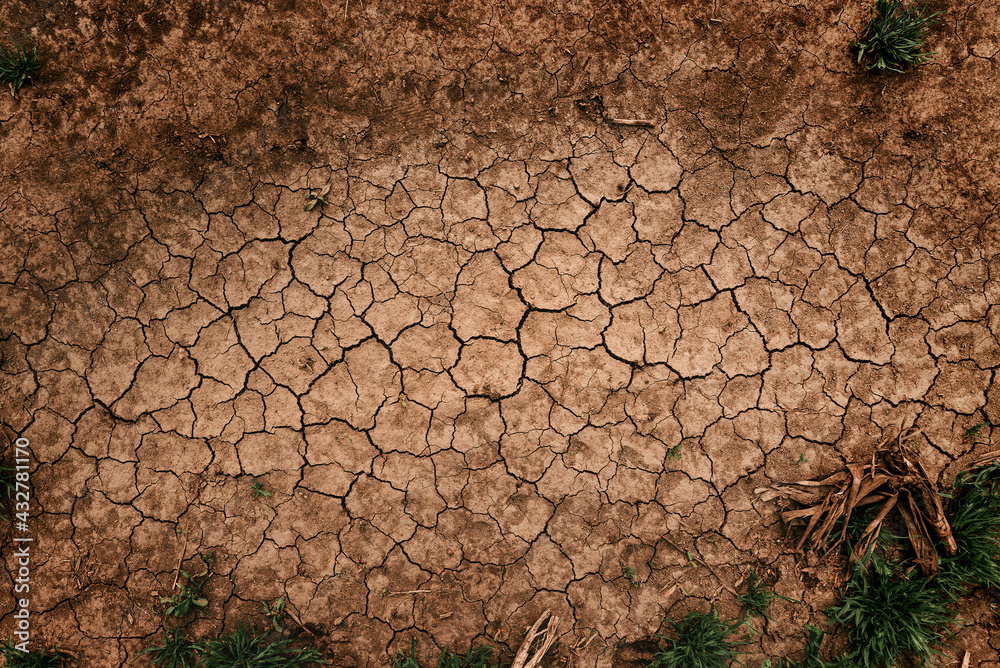 Wall mural Drought background, top view of dry earth soil texture