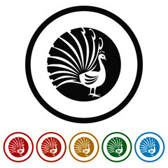 Peacock Logo Design Color Set