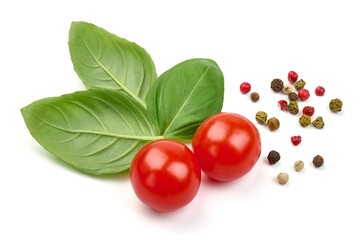 Basil leaves, isolated on a white background. High resolution image