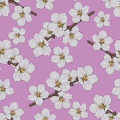 Seamless pattern, spring cherry blossoms on pink background