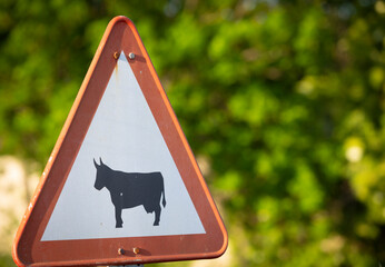 Señal de tráfico peligro por cruze de ganado (vacas) - obrazy, fototapety, plakaty